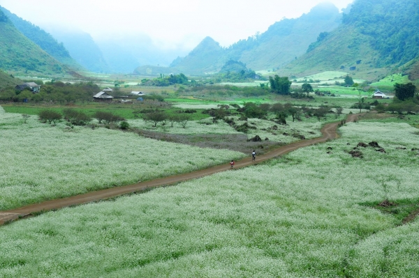 MAI CHÂU – MỘC CHÂU