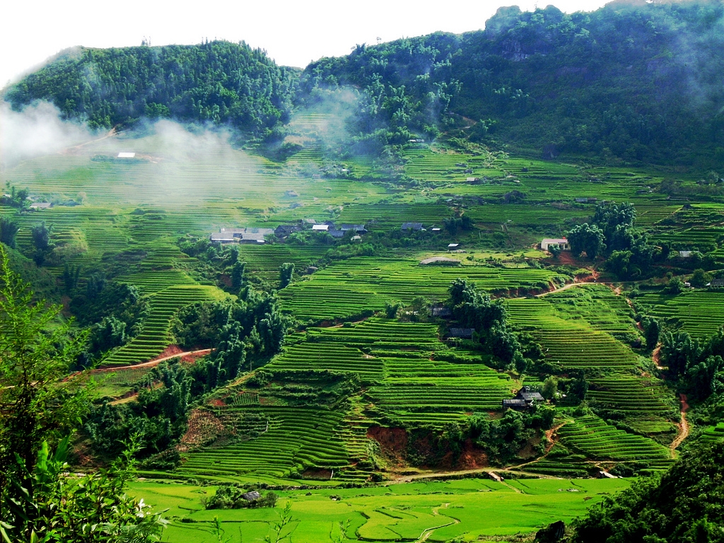 Highlights of the Mai Chau – Moc Chau 3 days 2 nights tour