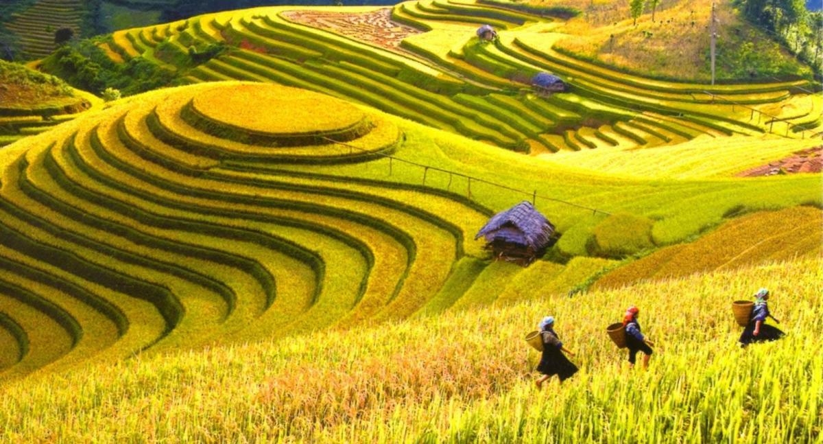 Highlights of the Mai Chau – Moc Chau 3 days 2 nights tour