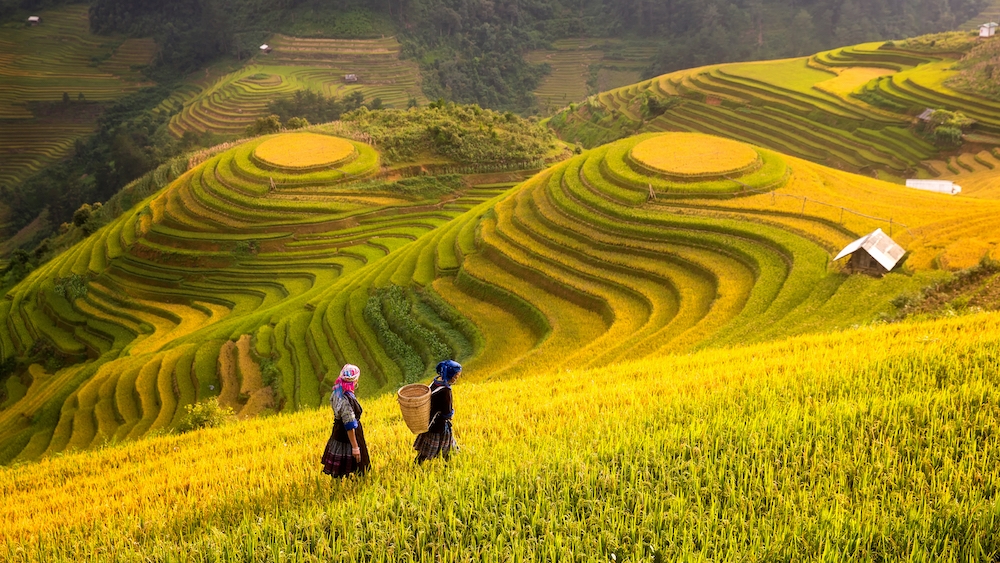 Tour Schedule Sapa – Y Ty – Lung Po 4 days 3 nights