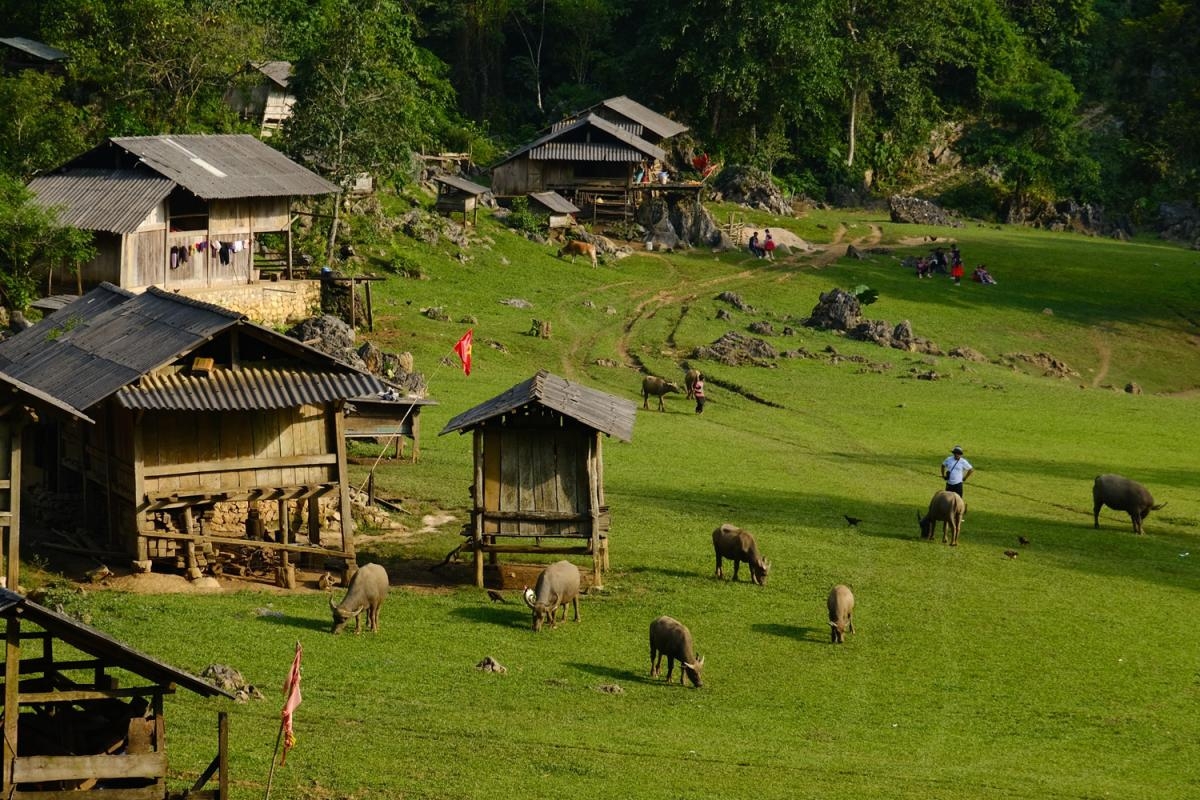 Highlights of the 5-day, 4-night Hanoi – Mai Chau – Moc Chau – Son La – Dien Bien – Lai Chau – Sapa – Hanoi