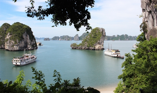 Ha Long - Ninh Binh - Hanoi 4 days 3 nights