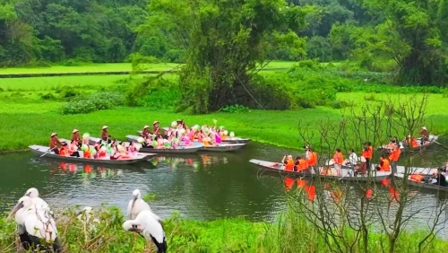 Vietnam tours